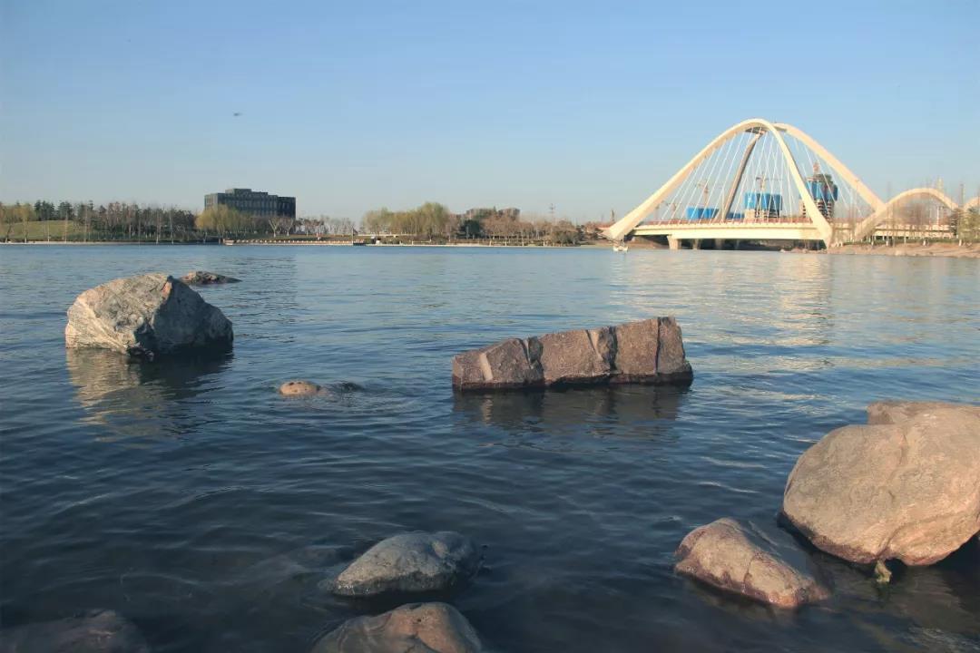 1589983004523868.jpg 千畝生態(tài)水系實景圖.jpg