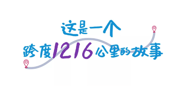 1631164727138385.jpg 1.jpg